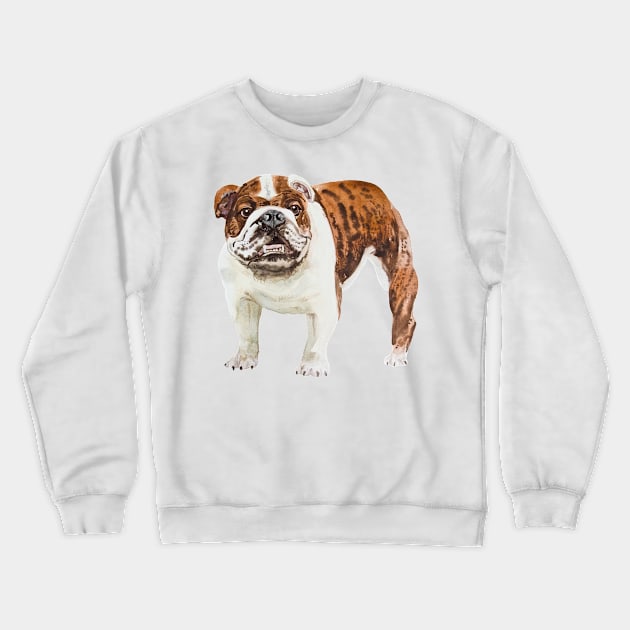 english bulldog Crewneck Sweatshirt by VicaVeresk